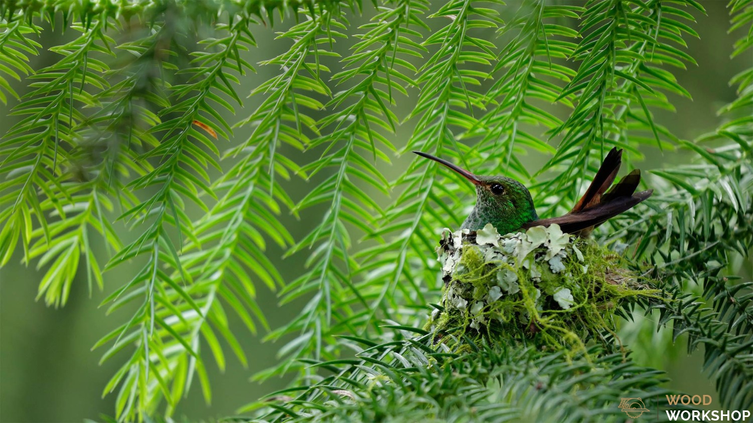 Trang trí nội thất